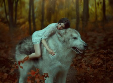 Kırılgan bir kız bir kurt Prenses Mononoke gibi sürme. Uyuyan güzel. Alaskan Malamute gibi vahşi bir kurttur. Arka plan sıcak sonbahar renkleri muhteşem bir ormanda bulunur.