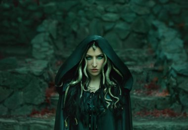 Image of Gorgon Medusa, braid hair and gold snakes, close-up portrait. Gothic make-up in green shades. Background of wild stones. Long black claws and a predatory look clipart