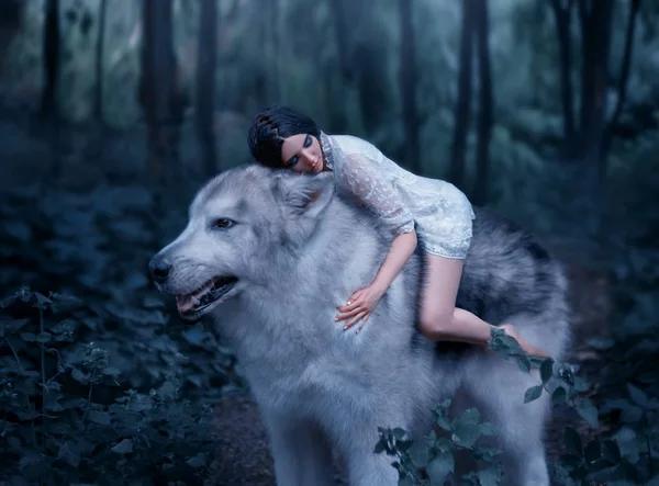 Delikatne Dziewczyna Jazda Wilka Jak Księżniczka Mononoke Śpiąca Królewna Alaskan — Zdjęcie stockowe