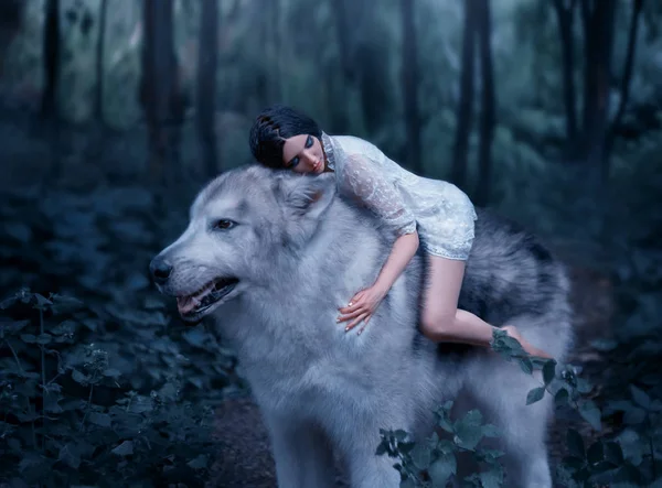Kırılgan bir kız bir kurt Prenses Mononoke gibi sürme. Uyuyan güzel. Alaskan Malamute gibi vahşi bir kurttur. Arka plan soğuk renkler masal bir ormanda bulunur.