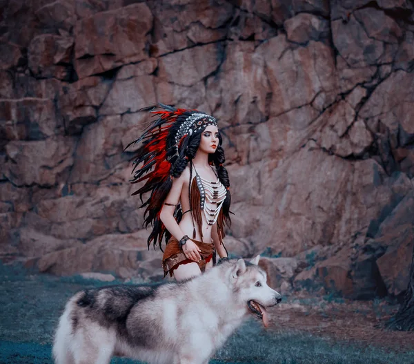 네이티브 아메리칸 인디언 여자입니다 늑대와 사냥꾼 협곡을 걷는다 여자는 Malamute — 스톡 사진