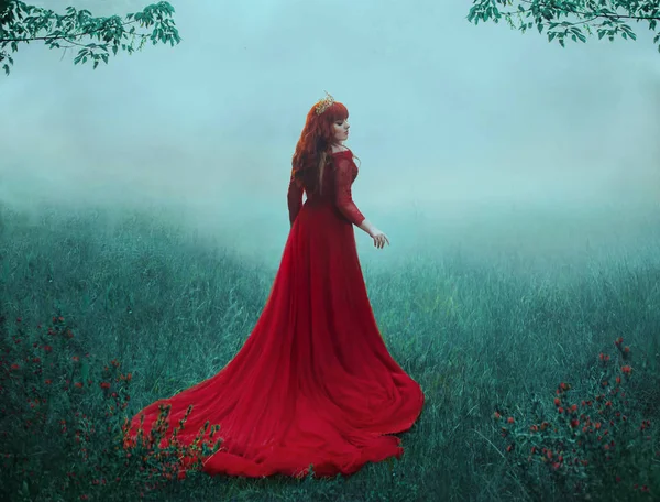 Królowa Luksusowe Drogie Czerwona Sukienka Spacery Gęstej Mgle Długim Trenem — Zdjęcie stockowe