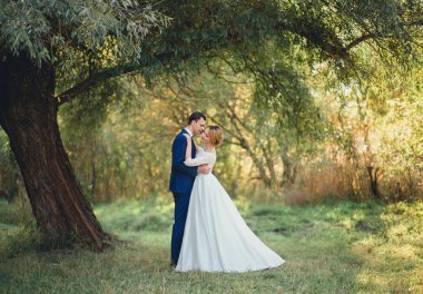 Lovely young couple hugging on a lawn under a tree. bride with blonde hair in a long white gorgeous wedding dress next to the groom in a stylish blue suit whispers beloved in her ear. clipart