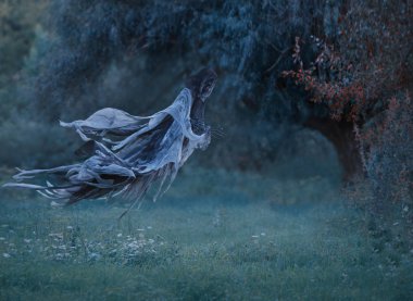 İblis manto sallayarak ile havada uçuyor, backgraund orman çim zümrüt donmuş ot ile yukarıda hoarfrost ile kaplı. Cadılar Bayramı için bir dekorasyon olarak Angel of Death. sanat fotoğraf.