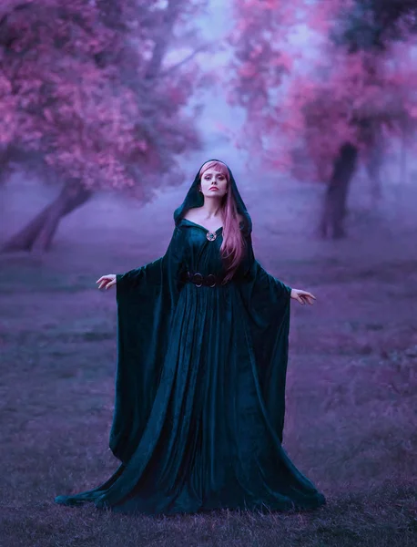 Charming Maiden Blue Brakhatny Cloak Wide Belt Pink Hair Forest — Stock Photo, Image