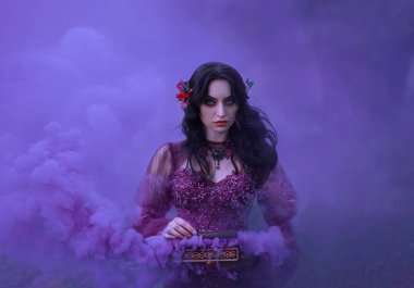 Pandora'nın kutusu lüks elbiseli hain esmer kız açık tabut hangi insanlık kötülükleri dışarı sinek onun elinde tutuyor. Violet ile güzel bulutlar duman arka planda doldurur. Sanat fotoğraf.