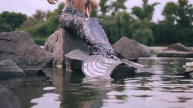 nazik nazik deniz kızı su ve gülümsüyor üzerinde yansıması çağrıştırıyor