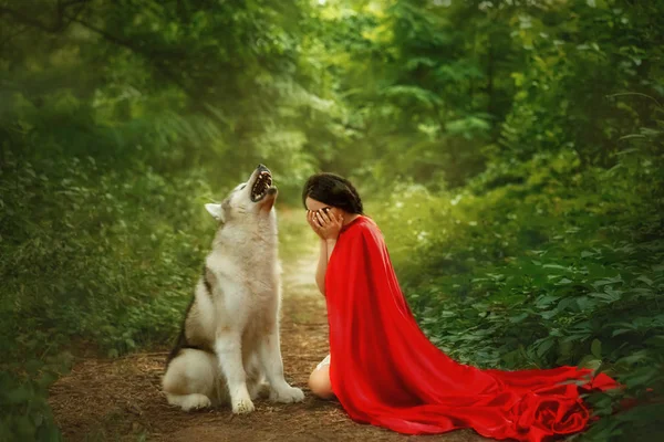 Příběh o červenou čepici s šarlatovou dlouho létající vlající plášť, tmavovlasá dívka kryty, které její tvář s její ruce a výkřiky, lesní vlk zavyje, ukazuje její zuby s ostrými zuby — Stock fotografie
