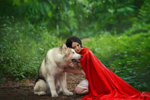 Fabulous image, dark-haired brunette attractive lady in short white dress, long red scarlet cloak lying on ground sits beside Alaskan Malamute like wolf, gently touches it with his hands, head — Stock Photo, Image