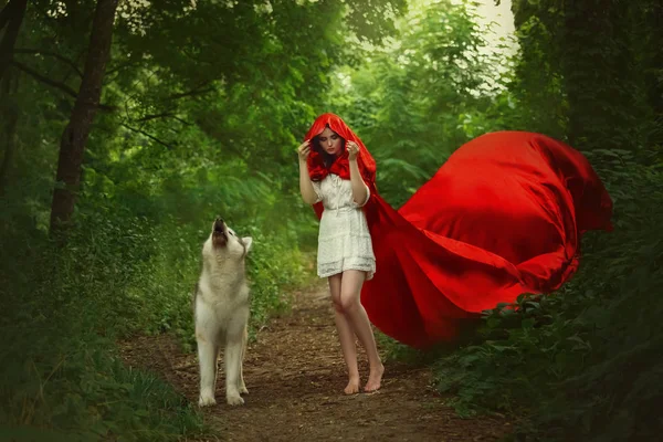 Menina fabulosa com cabelo escuro em vestido branco luz curta cobre a cabeça com capuz de longo vermelho brilhante voando fluttering capa de chuva, anda descalço pés ao longo do caminho da floresta, uivos lobo selvagem ao lado — Fotografia de Stock