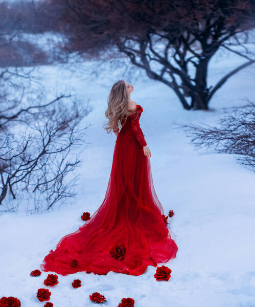 The bloody Countess Batory. girl like gorgeous flower, rosebuds fall on white and cold snow, lady with blond hair in winter forest in long, elegant, red dark dress with train with bare shoulders