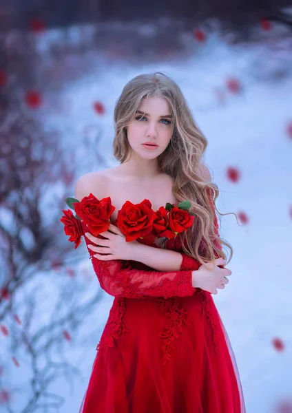 Incredible blonde girl with blue eyes, look into the camera. Healthy long hair. Countess Batory holds an armful of scarlet roses at her breast. Background winter landscape and falling flower petals.