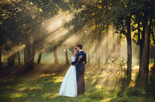 Photo mignonne et calme d'une jeune mariée dans un beau long blanc une robe magnifique de mariage et le marié à un costume bleu élégant à la mode stricte. amoureux s'embrassent dans les rayons du soleil du jour — Photo