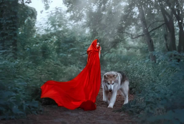 Cute fantastic image of fairy-tale character, mysterious dark-haired girl with long flying waving scarlet red bright raincoat stands in the forest with a huge wild wolf who leaves the lady alone — Stock Photo, Image