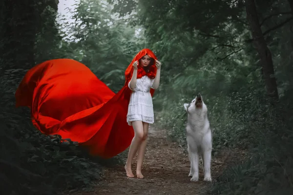 Fabulous girl with dark hair in short light white dress covers her head with hood of long bright red flying fluttering raincoat, walks bare bare feet along forest path, wild wolf howls beside — Stock Photo, Image