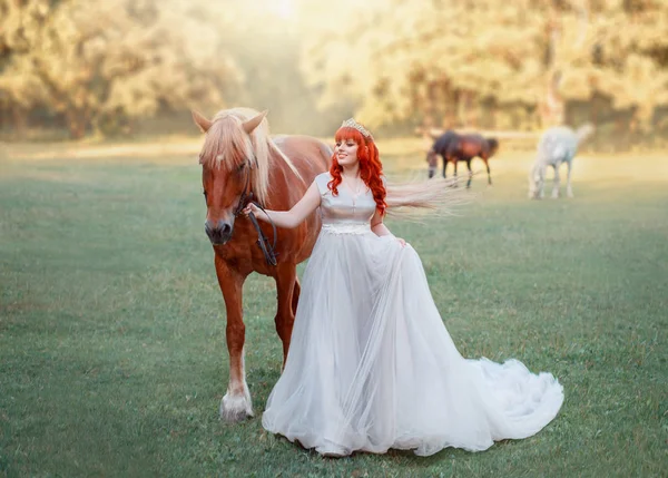 Riposo originale per la sposa all'addio al nubilato, grassoccio grande signora in abito lungo bianco che tiene marrone grazioso cavallo con briglia e orlo del suo abito, splendida signora con corona sulla testa sul campo — Foto Stock