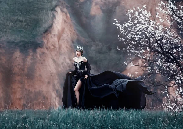 Queen of night in luxurious black dress with long flying train, lady with dark makeup, metal cold jewelry and crown, mysterious priestess on grassy slope near blossoming tree, gloomy gothic image — Stock Photo, Image