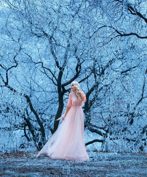Senhora bonita com posses de cabelo loiro para a câmera em um vestido macio rosa claro longo em uma floresta gelada fria do inverno, neve branca macia fofa encontra-se nos ramos, uma fada da geada como uma ninfa bonito — Fotografia de Stock