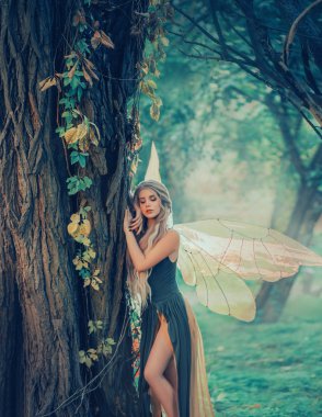 sweet forest angel, nymph with perfect thick white hair in image of dreamy spirit with butterfly wings. attractive fairy with bare legs, mythical creature closes eyes, listens to breath of nature clipart