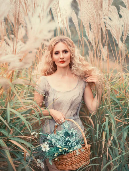 Joven chica atractiva con pelo rubio rizado en vestido viejo gris claro con cesta de hierbas medicinales en la mano, bonita ninfa del bosque camina a través del campo con plantas altas, sonrisa suave en foto de retrato — Foto de Stock