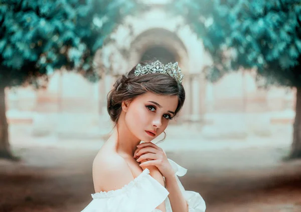 Lovely tender girl with perfect skin and dark magnificent eyes, wonderful work of hairdresser and gathered brown hair with silver tiara, light natural make-up, portrait photo and creative colors — Stock Photo, Image