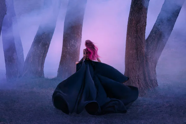 The queen in black dress, runs away in the fog. The skirt train is waving in the wind like a black flower. Pink long hair fly. A vampire is hunting at dusk. Art photo from the back, without a face — Stock Photo, Image