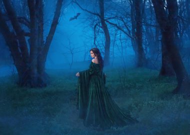 Kadife mavi cüppeli baştan çıkarıcı cadı uzun bir trenle kurbanı bulmak için gece ormanında yürüyor. Yarasa karanlığın ev sahibesi ile birlikte. Lüks saçlı gizemli bayan