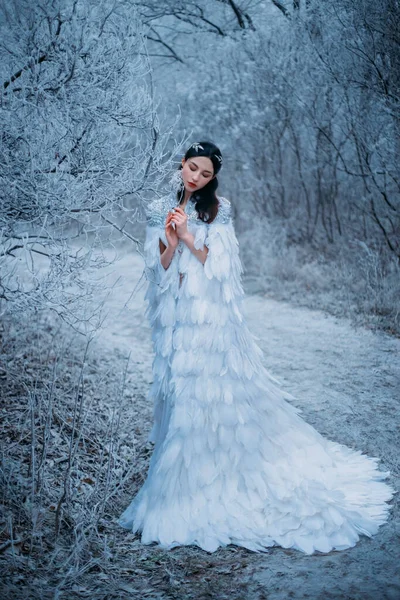 Een jonge sneeuwkoningin. Fantasie cape, witte veren. Creatieve kleding sexy jurk. Fashion model mooi gezicht. Elfenmantel, prinses in het winterbos, bomen in de vorst, sneeuw. Zilveren Tiara Circlet — Stockfoto