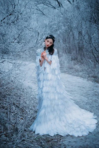 Junge Schneekönigin. Fantasieumhang, weiße Federn. Kreative Kleidung sexy Kleid. Die Mode modelliert schönes Gesicht. Elfenmantel, Prinzessin im Winterwald, Bäume im Raureif, Schnee. Silber Tiara Circlet — Stockfoto