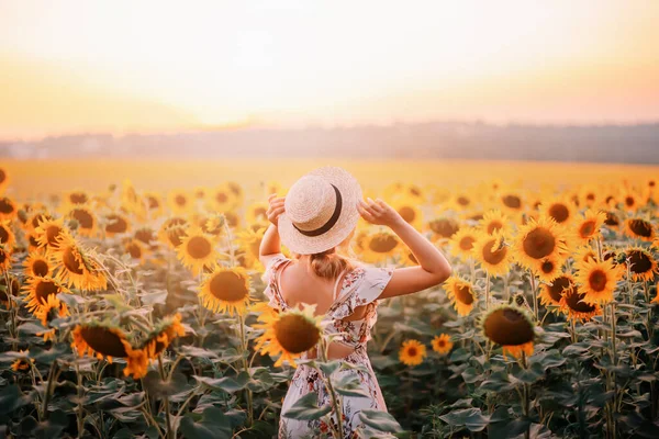 Bela natureza verão incrível pôr-do-sol campo de floração. Flores amarelas de girassol laranja. Jovem mulher moderna virou-se, gosta de harmonia natureza, relaxamento rural. Menina toca chapéu de palha na cabeça — Fotografia de Stock