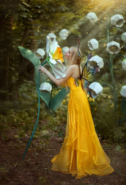 Fantasy woman blonde forest fairy. Fashion model in a long yellow dress with butterfly wings holds in hand and smell large flower narcissus. Scenery white lilies of the valley. Sun rays light magic — Stock Photo, Image