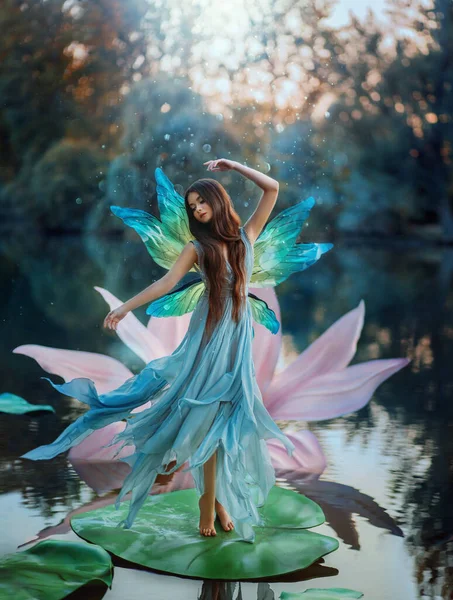 Piękna młoda kobieta fantasy na obraz bajki rzeki tańczy na kwiat lilii wodnej. Długa jedwabna sukienka lata na wietrze, skrzydła motyla błyszczą. Tło wieczór ciemna natura, niebieskie jezioro. — Zdjęcie stockowe