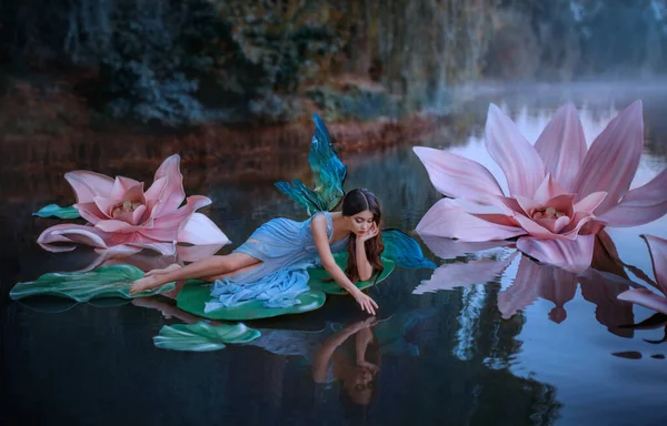 Una mujer hermosa un pequeño hada linda con alas de mariposa se encuentra en la hoja de lirio de agua verde. Escenario de fantasía de enormes flores rosadas en el lago. Ninfa del río, chica pixie en un vestido azul chica tocando el agua — Foto de Stock