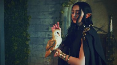 Yakın plan fantezi vampir kadın, siyah Gotik klasik elbise içinde. Güzel kız el ele tutuşuyor vahşi kuş ahırı baykuşu evcil hayvanı okşuyor. Cadılar bayramı şenliği makyajı gotik karanlık kraliçe. taht odası.