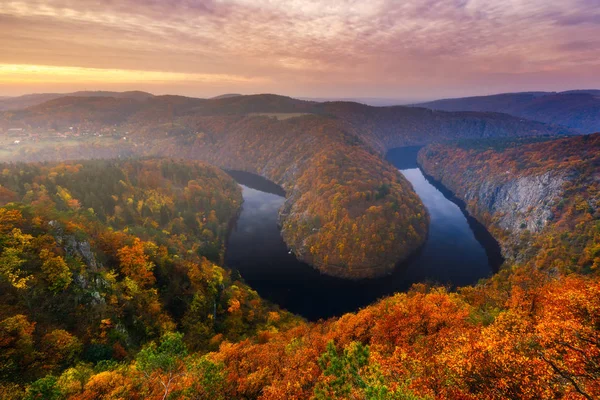 Panoramik nehir kanyonun karanlık su ve sonbahar renkli orman ile. At nalı'lik dirsek, Vltava Nehri, Çek Cumhuriyeti. Güzel manzara nehir ile. Maj uyanık.