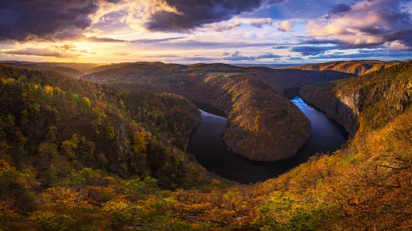 Karanlık su ve sonbahar renkli orman ile nehir Kanyon. At nalı'lik dirsek, Vltava Nehri, Çek Cumhuriyeti. Güzel manzara nehir ile