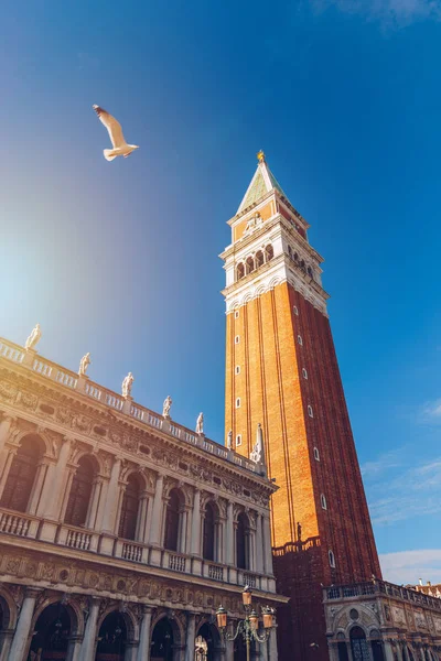 Piazza San Marco with Campanile. Venice, Italy. Campanile di Venezia located at Piazza San Marco, Italy