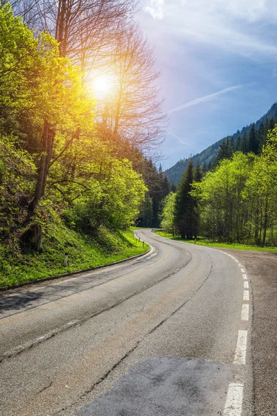 Camino Asfalto Austria Través Del Bosque Valle Austria Hermoso Día — Foto de Stock