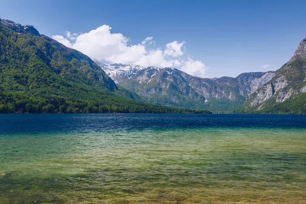 Lago Bohinj Eslovénia Beleza Natureza Verão Colorido Lago Bohinj Parque — Fotografia de Stock