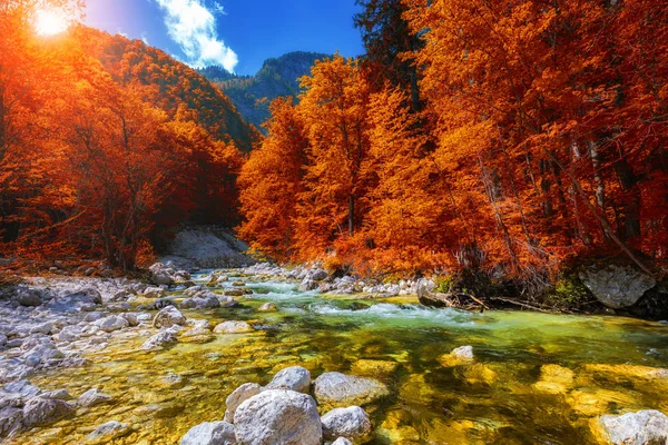 Schöne Farbenfrohe Herbstlandschaft Mit Einem Bach Und Wald Getönten Farben — Stockfoto