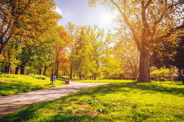 Büyülü sonbahar park yolu ile ve fantastik kızdırma, peri masalı yatay, kırmızı yapraklar
