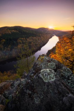 Karanlık su ve sonbahar renkli orman ile nehir Kanyon. At nalı'lik dirsek, Vltava Nehri, Çek Cumhuriyeti. Güzel manzara nehir ile