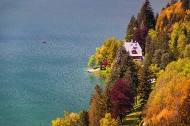 Bled Gölü hac kilise Maria varsayımı ile sonbahar görünümü. Görünüm Bled, Slovenya, Europe top. Sonbahar Lake Bled. Lake Bled sonbahar sırasında küçük Bled ada. Bled, Slovenya.