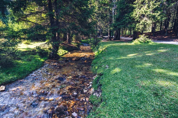 Beautiful View Mountain River Summer Ialomita River Romania Europe Carpathian — Stock Photo, Image