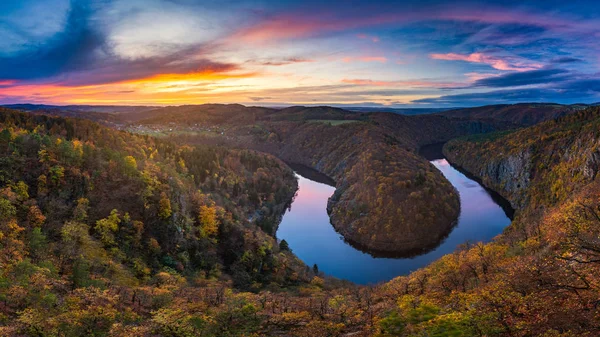 Panoramik nehir kanyonun karanlık su ve sonbahar renkli orman ile. At nalı'lik dirsek, Vltava Nehri, Çek Cumhuriyeti. Güzel manzara nehir ile. Maj uyanık.