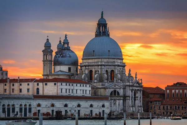 Canal Grande Venezia Basilica Santa Maria Della Salute Venezia Architettura — Foto Stock