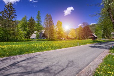 Yeşil çayırda yeşil ormanlarla çevrili ahşap bir kır evinin manzarası. Bohinj, Stara Fuzina, Slovenya, Avrupa 'da yaz.