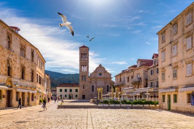 Şehirde eski ortaçağ Hvar martı'nın Ana Meydanı üzerinde uçan. Hvar, yaz aylarında Hırvatistan en popüler turistik yerlerinden biridir. Merkez Pjaca Hvar kare kasaba, Dalmaçya, Hırvatistan. 