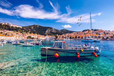 Balıkçı tekneleri önünde kasaba Hvar, Hırvatistan ile muhteşem adalar, görüntüleyin. Liman kentinin eski Adriyatik Adası Hvar martı ile şehrin üzerinde uçuyor. Şaşırtıcı Hvar city Hvar Adası, Hırvatistan. 