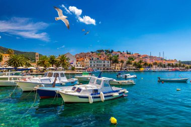 Martıların uçtuğu Hvar kasabası Hırvatistan 'ın ünlü lüks seyahat beldesi. Hırvatistan 'ın Dalmaçya kıyısındaki Dubrovnik ve Korcula yakınlarındaki adalardan biri olan Hvar adasındaki tekneler.
